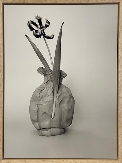Grey ceramic vase with a dark tulip, by Marlies Neugebauer