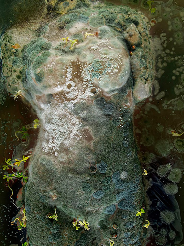 Torso sculpture overgrown with moss and small flowers