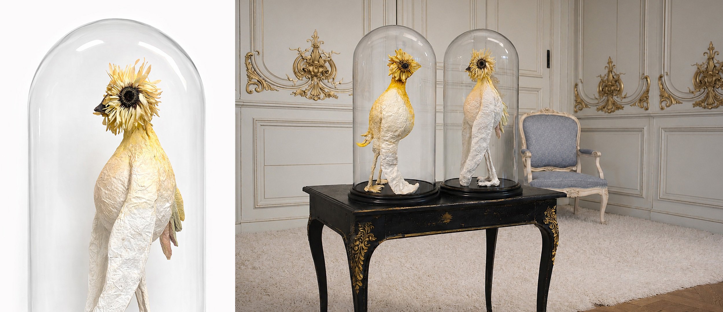 Gilded cockatoo sculptures under glass domes in a classic white salon